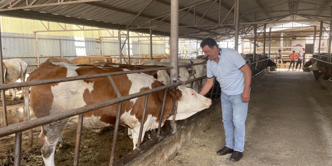 Konya’da dolandırılan besici konuştu: Herkes tedbirini alsın