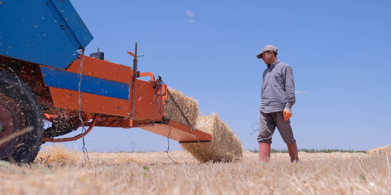 Buğday ve arpa fiyatının artışı Konya çiftçisini sevindirdi