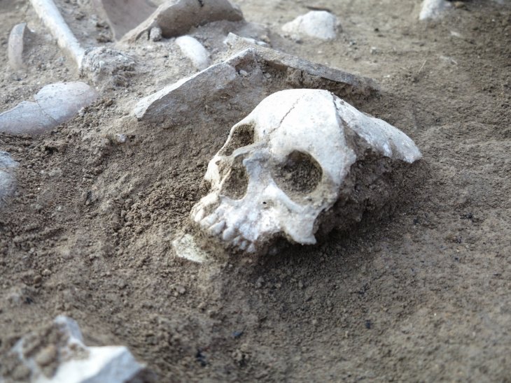 Çorum'da 3 bin 500 yıllık insan kafatası bulundu
