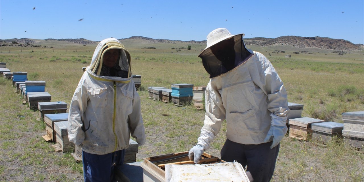Konya’nın çölünde bal hasadı mesaisi başladı
