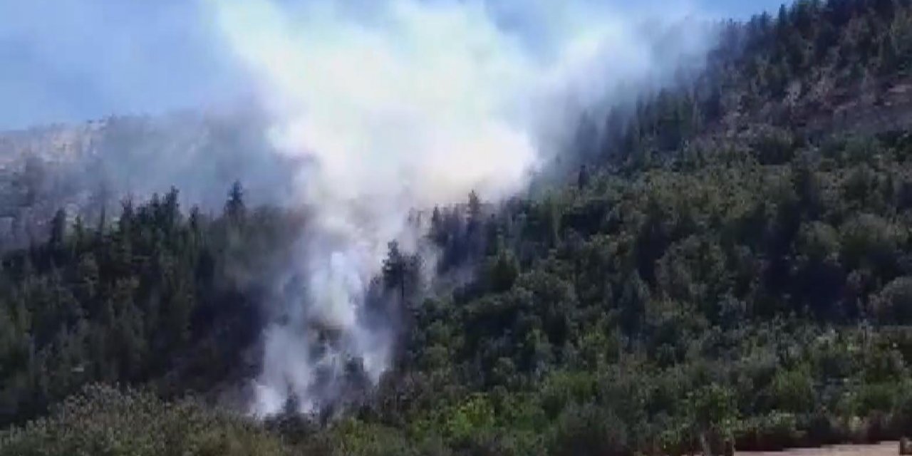 Karaman’da orman yangını çıktı!