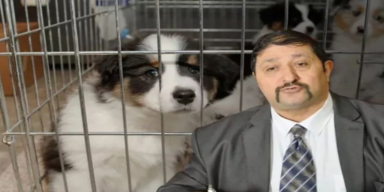 Kasaplar Federasyonu’ndan Petshop açıklaması!