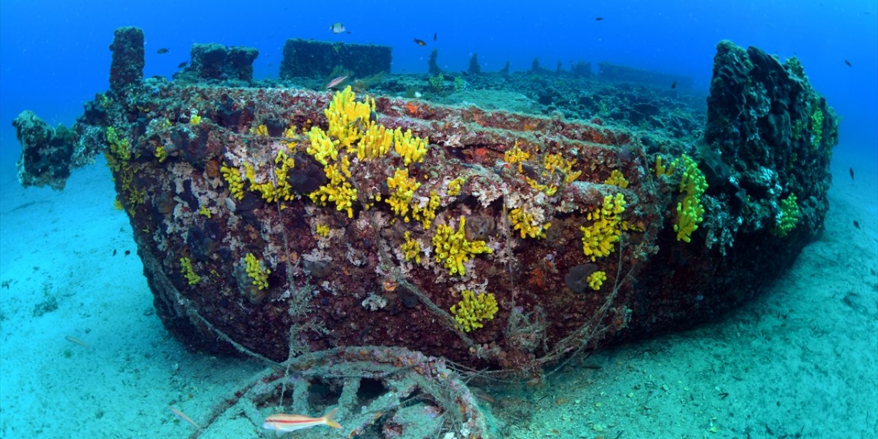 Çanakkale Savaşları'nda batan 'HMS Majestic' gemisinin batığı görüntülendi