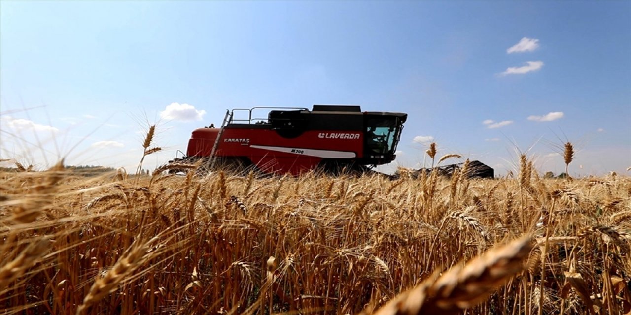 Bakan Kirişci, bu yıl beklenen buğday üretim miktarını açıkladı