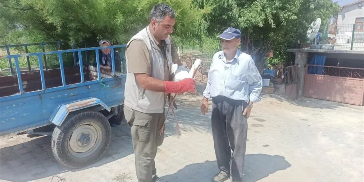 Konya Beyşehir’de yaralı bulunan leylek tedavi altına alındı