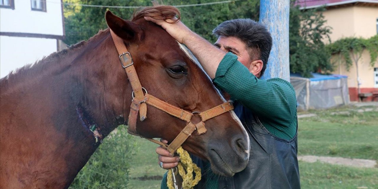 Boynu kesilen atını bahçe hortumuyla kurtardı