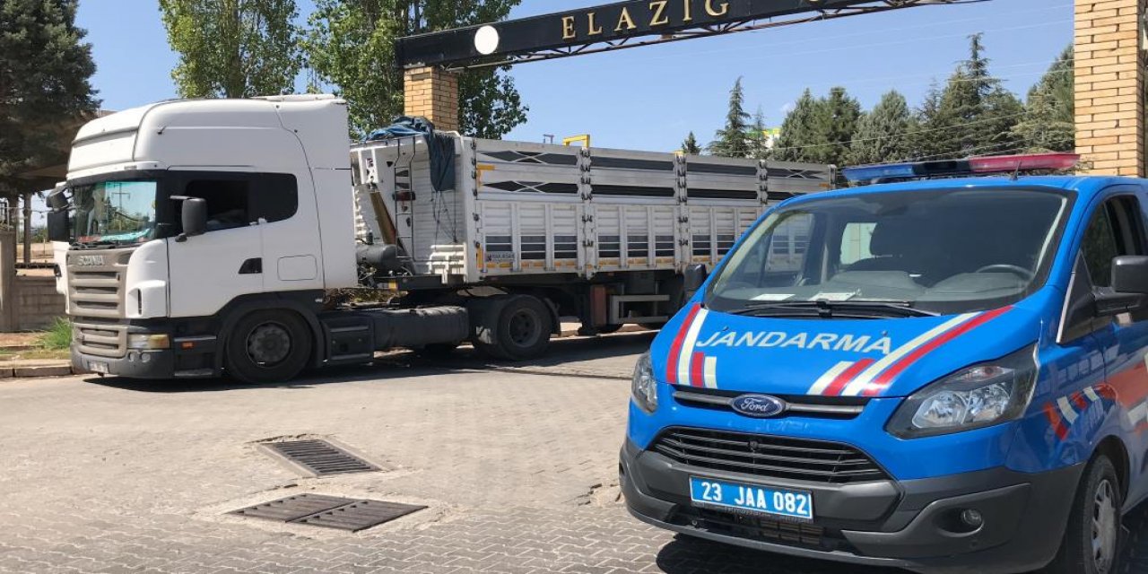 Kafası direksiyona dayalı, kapısı açıktı! TIR şoförü aracında ölü bulundu