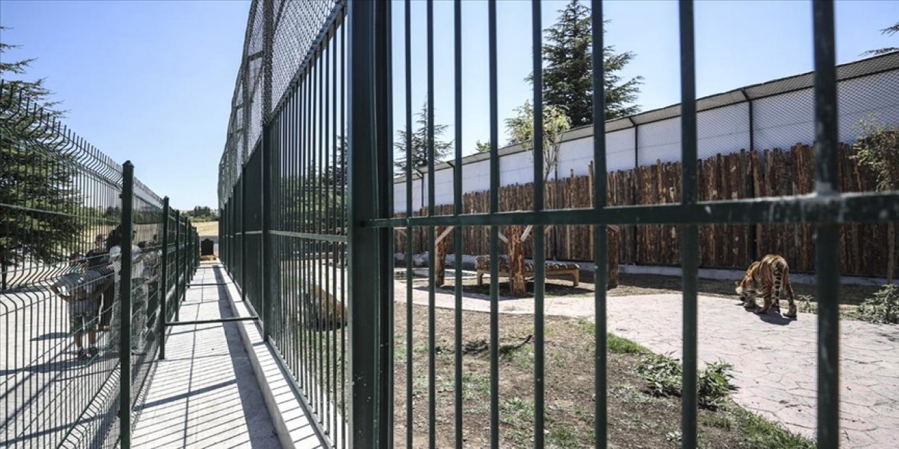 Özel hayvanat bahçesinin ruhsatı iptal edildi