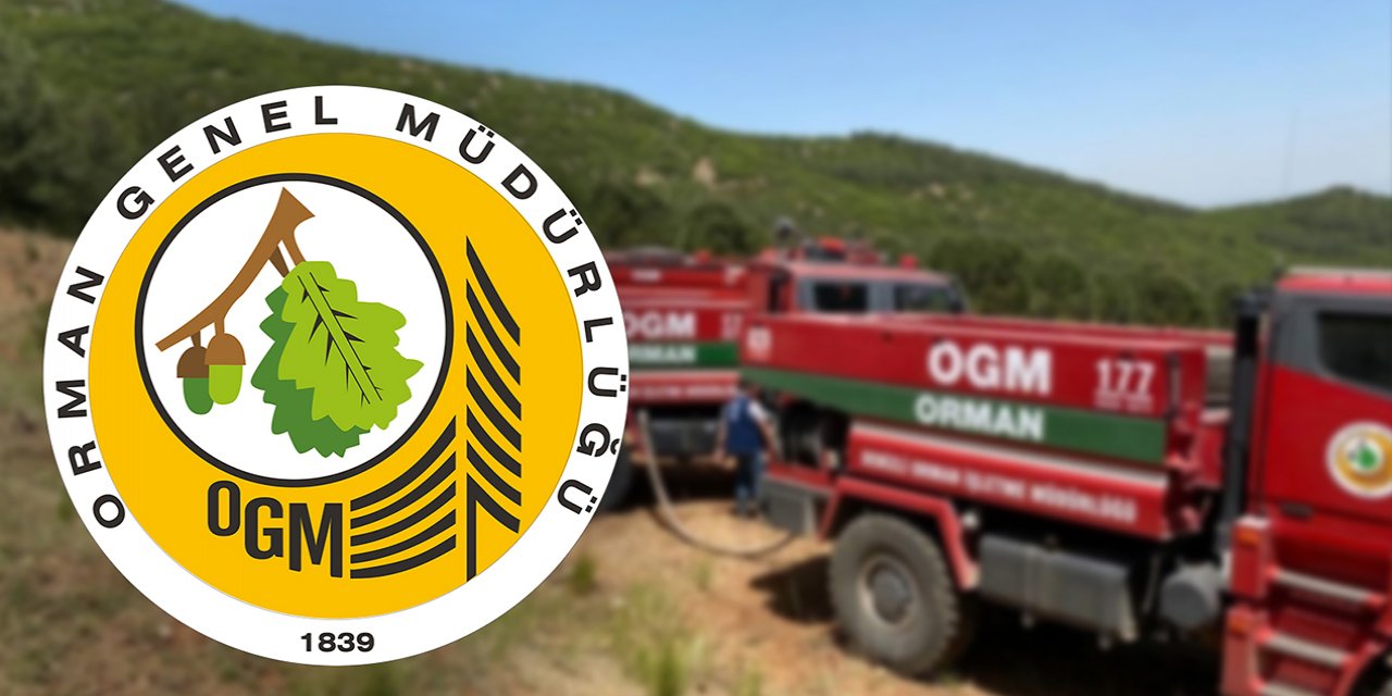 Orman Genel Müdürlüğü Konya dahil birçok ilde personel alacak