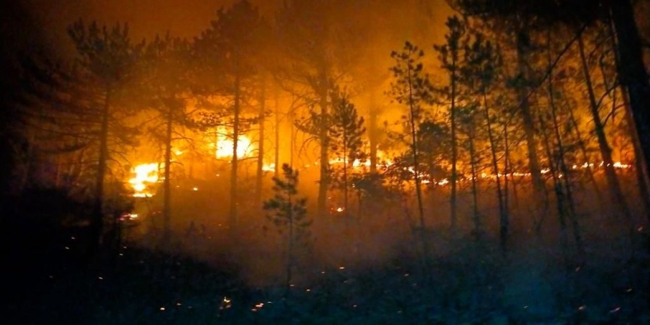 Son Dakika: Konya'da ormanlık alanda yangın çıktı