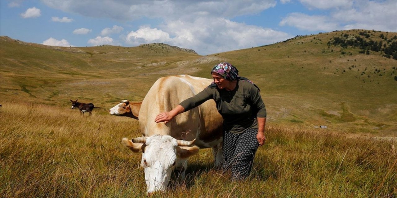 Dağların zirvesinde yalnız kalan kadının ürettiği süt ürünleri ilgi görüyor