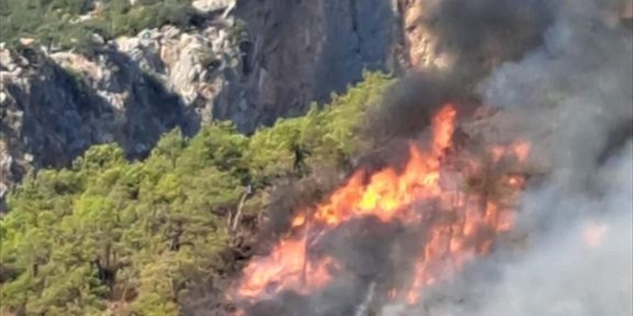 Antalya'da orman yangını çıktı! Havadan da müdahale ediliyor