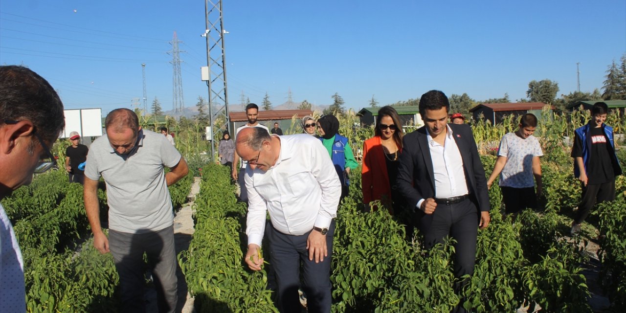 Karapınar'da gençlerin yetiştirdiği sebze ve meyveler ihtiyaç sahiplerine dağıtılıyor