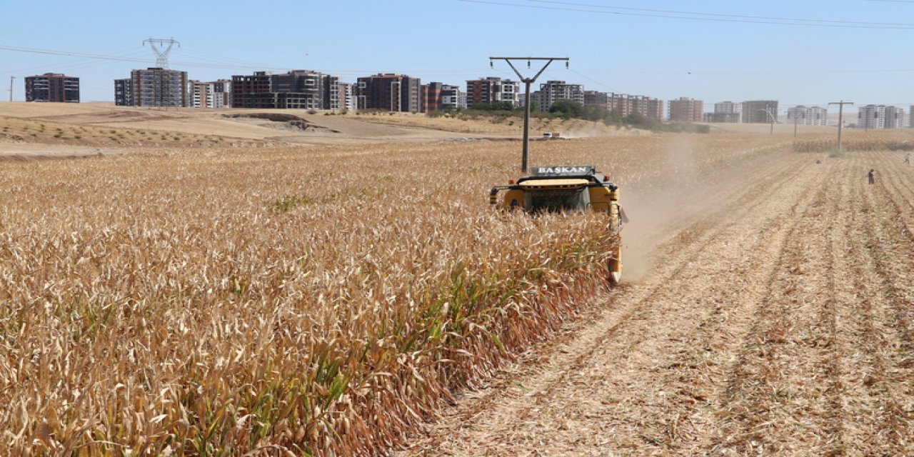 Seyyar biçerdöverciler il il gezerek hasat yapıyor