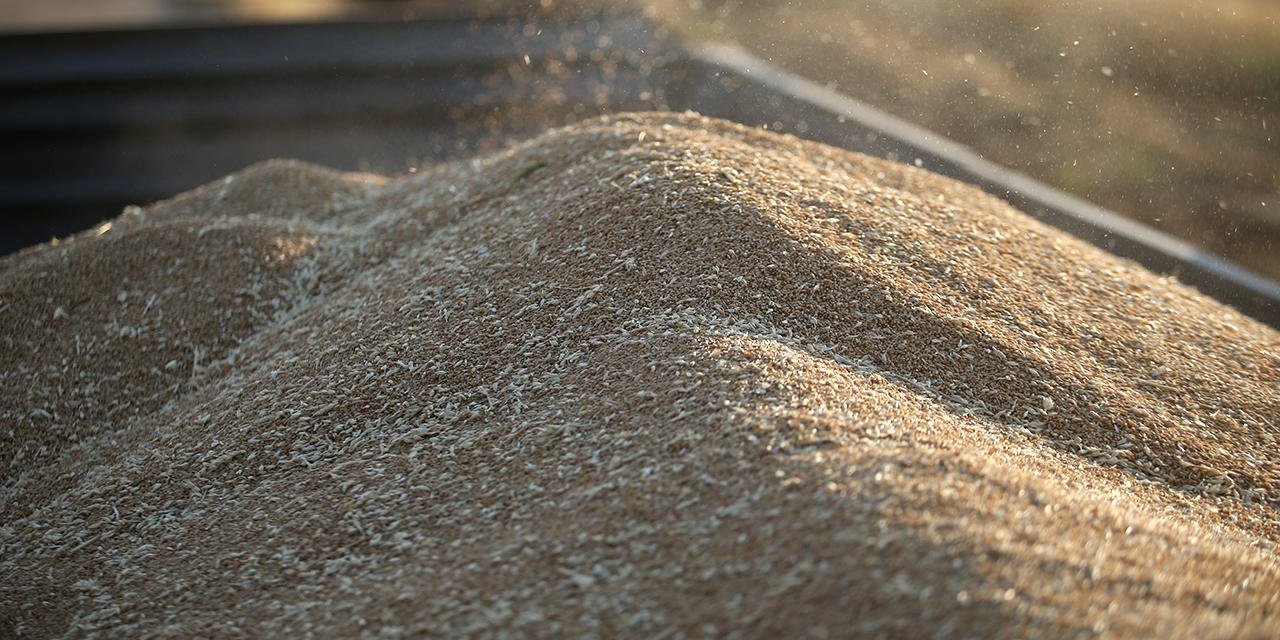 TMO ne kadar buğday stokladı? Genel Müdür Güldal Konya’da açıkladı