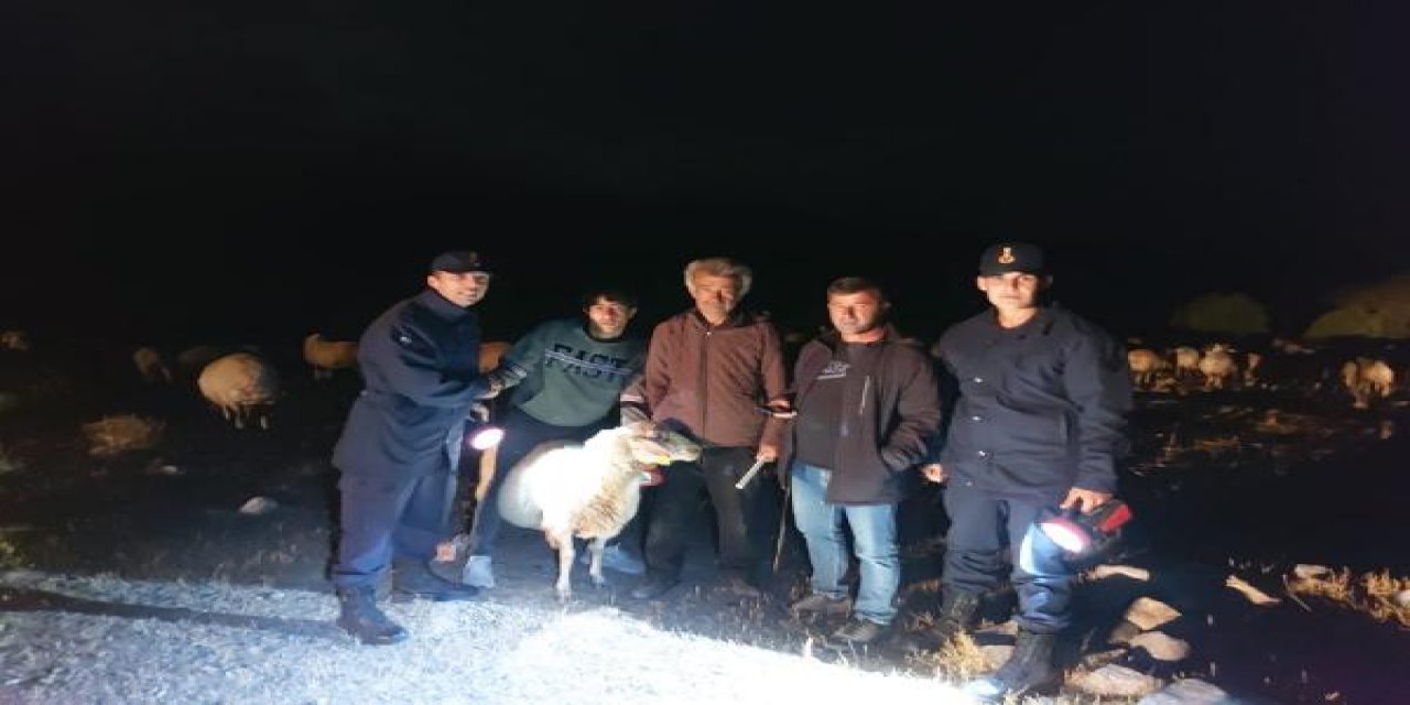 Karaman’da jandarmanın dronu kayıp koyunlar için havalandı