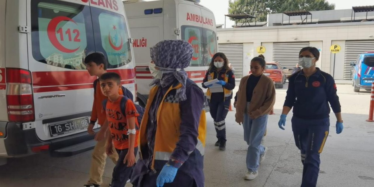 Kovanı sopa ile karıştıran 15 öğrenciyi arı soktu! Eğitime 1 gün ara verildi