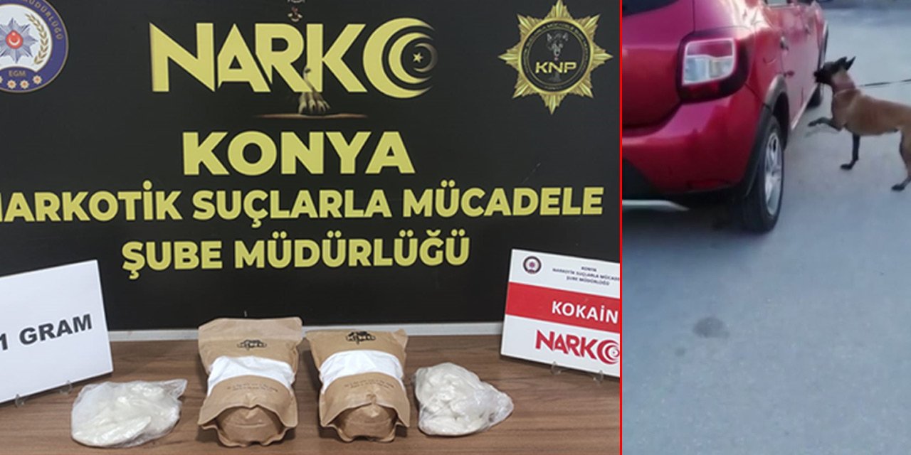 Konya’da Alex’in tepki verdiği yeni evli çiftin aracından bunlar çıktı