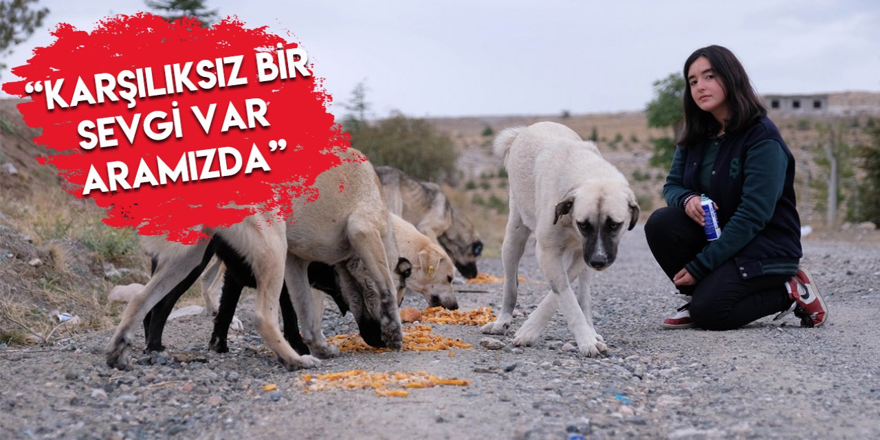 Konya’da lise öğrencisi genç kız, sokak hayvanlarına “Hayat” oldu