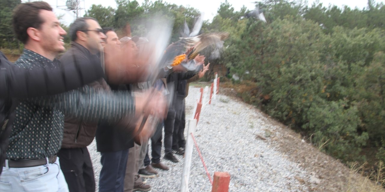 Konya'da 12 kaya güvercini ve şahin doğaya bırakıldı