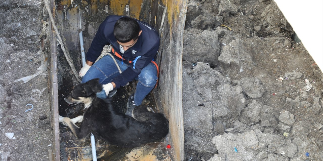 Konya’da atık su depolama çukuruna düşen köpek kurtarıldı