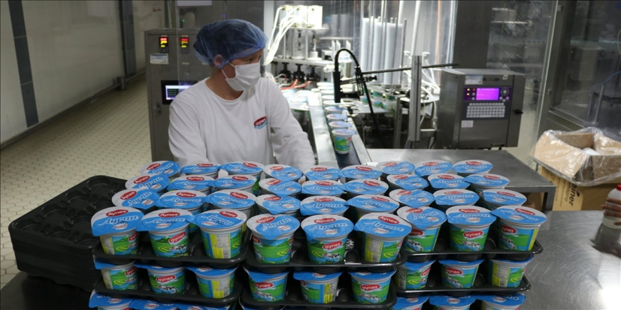 Aynes Gıda artık Tarım Kredi'nin