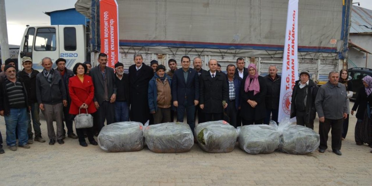 Konya’da 170 bin lavanta fidesi dağıtıldı