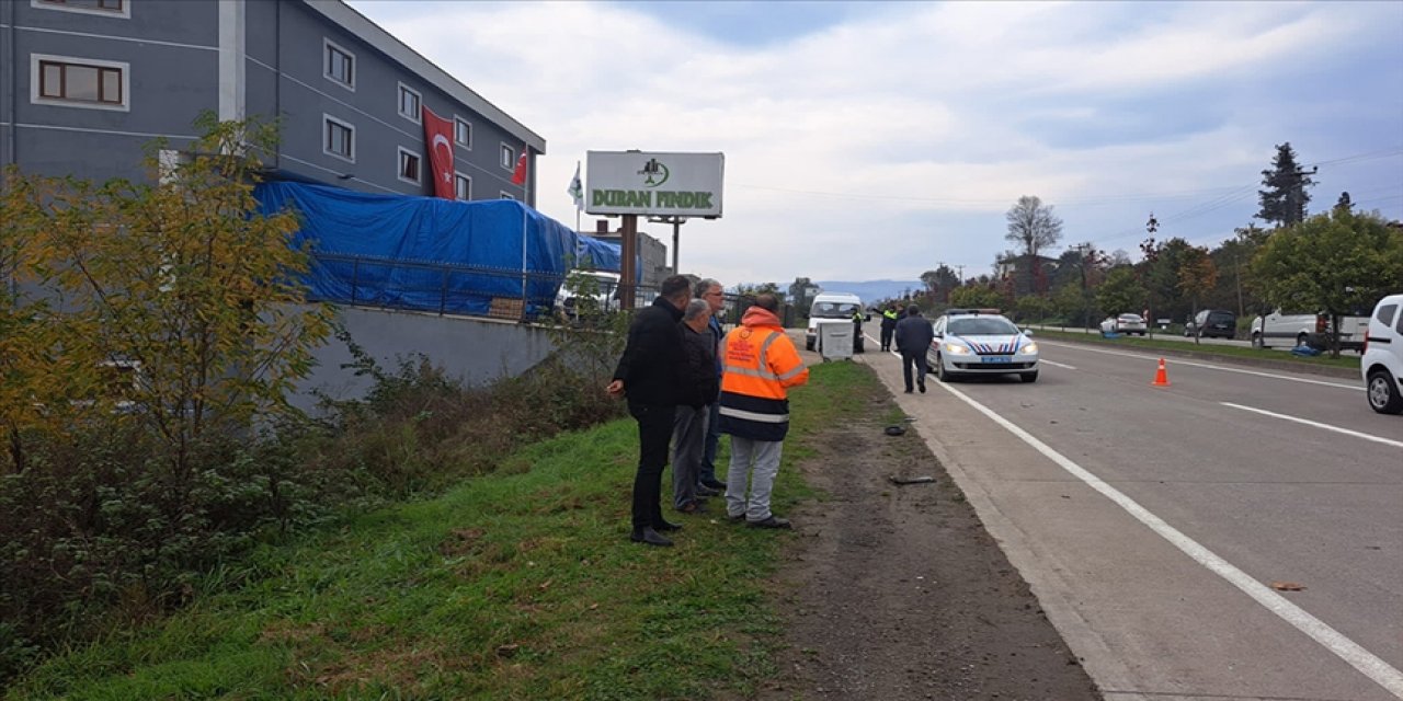 Temizlik işçisinin feci ölümü! Köpeklerden kaçarken araba çarptı
