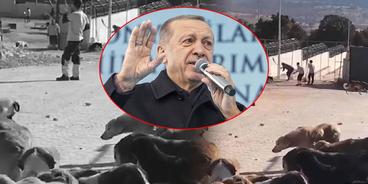 Cumhurbaşkanı Erdoğan Konya'daki olaya böyle tepki gösterdi