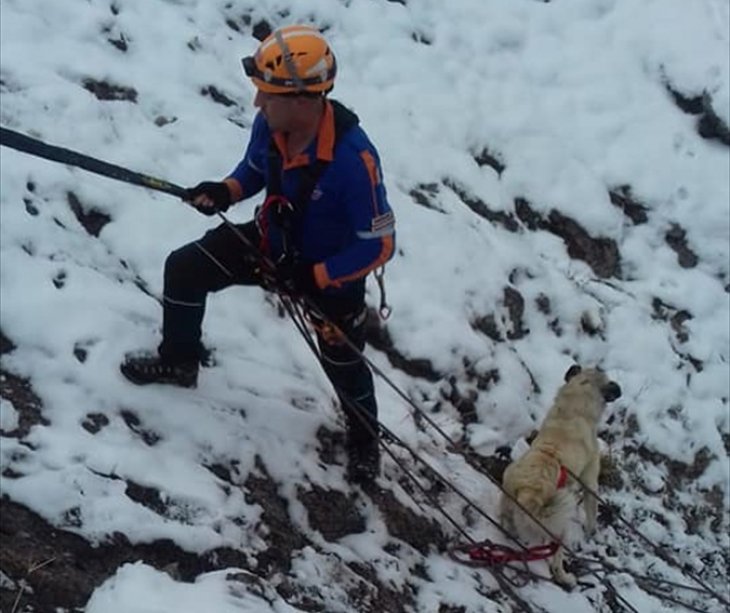 Kayalıklarda mahsur kalan köpek donmak üzereyken kurtarıldı