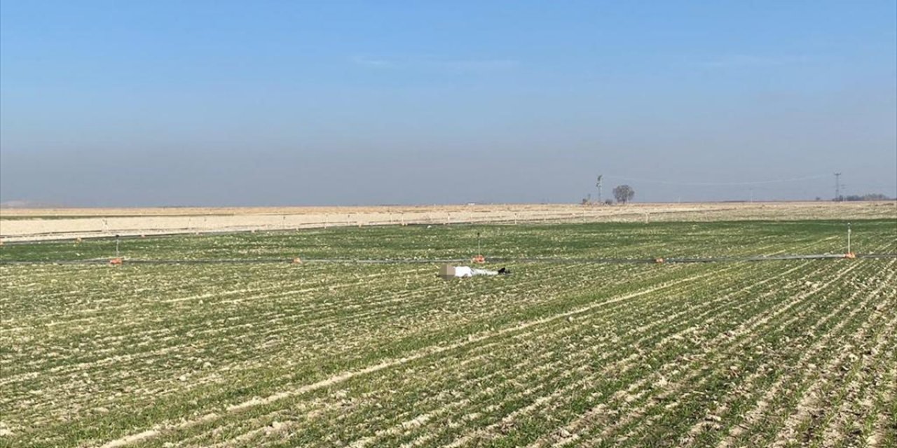 Son Dakika: Konya’da tarlada ceset bulundu