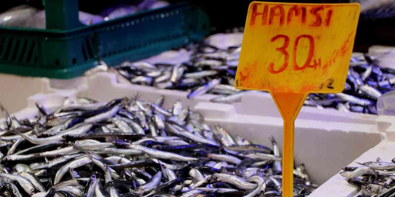 Balık tezgahlarında en çok ilgiyi 30 - 40 liraya satılan hamsi görüyor