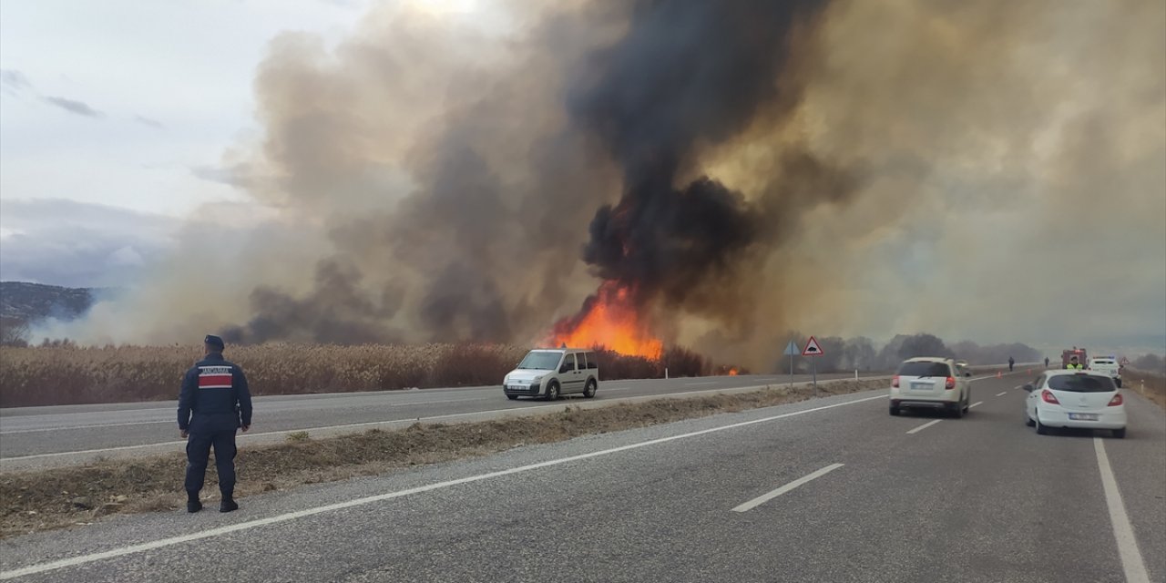 Son Dakika: Beyşehir Gölü kıyısında yangın! Zor kontrol altına alındı