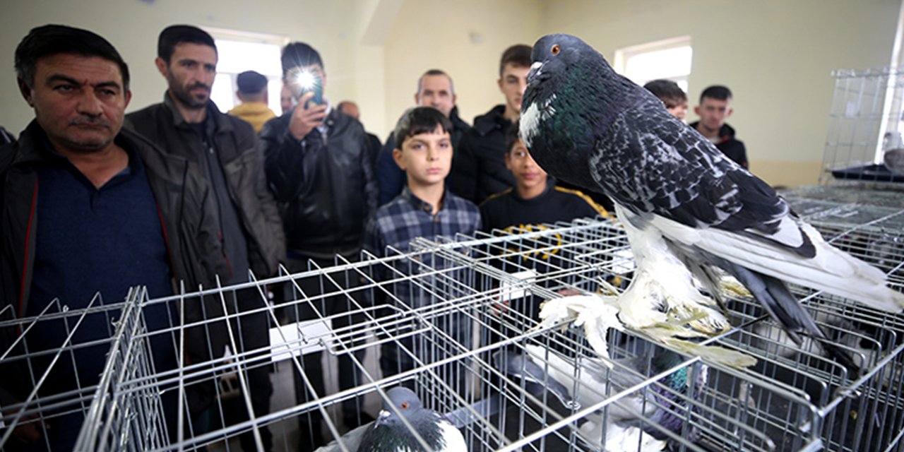 "Süs kuşu" meraklıları festivalde buluştu