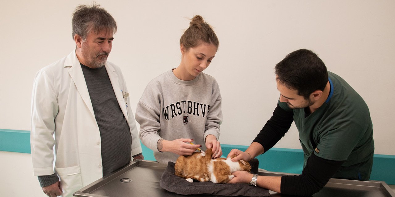 Selçuk Üniversitesi Veteriner Fakültesi’nde bu yıl 20 bin 250 hayvanın tedavisi yapıldı