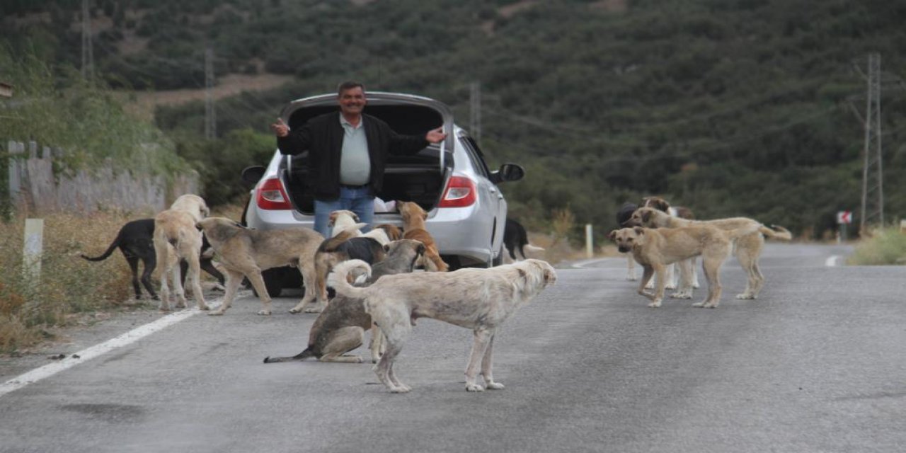 Konyalı Mehmet Ali Karaca emekli maaşının yarısını sokak köpekleri için harcıyor