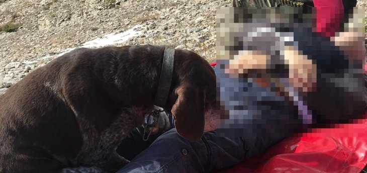 Avda hayatını kaybeden sahibinin başından ayrılmayan köpek duygulandırdı