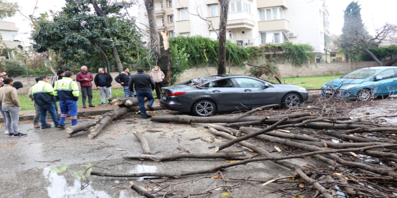 Hayat durma noktasına geldi: Yollar göle döndü, ağaçlar devrildi