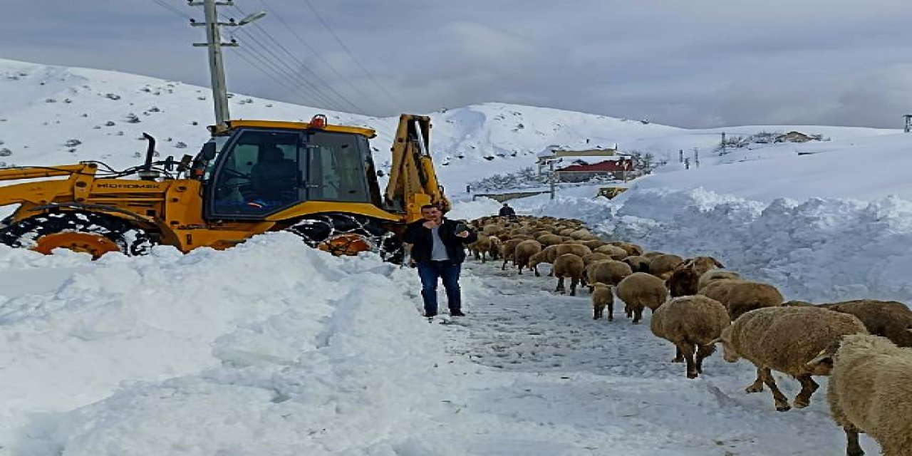 Yaylada 300 küçükbaş ile 3 gündür mahsur kalan aileyi belediye ekipleri kurtardı