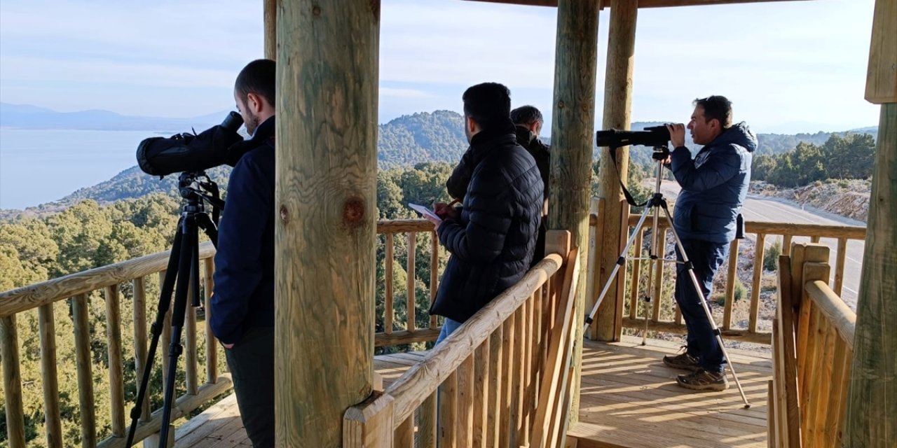 Konya'da kış ortası su kuşu sayımı yapıldı