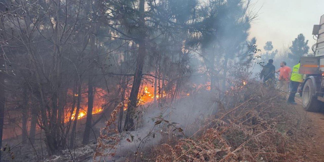 Karasu’da orman yangını