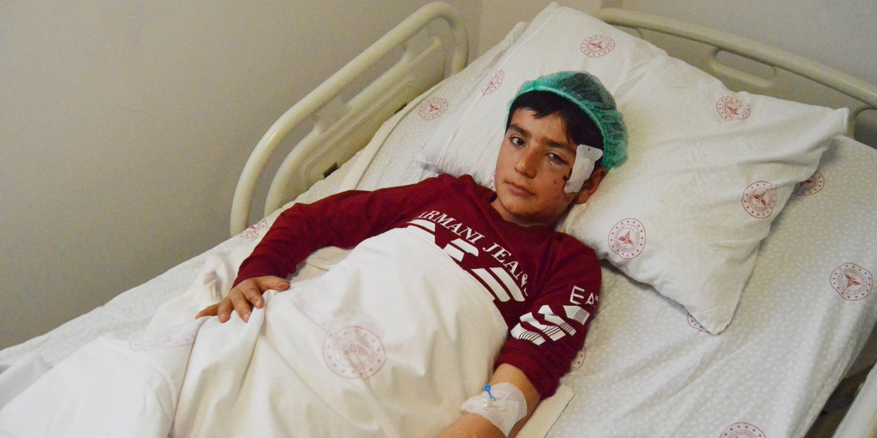 Bu kez adres Aksaray! 12 yaşındaki Kemal, pitbull saldırısında yaralandı
