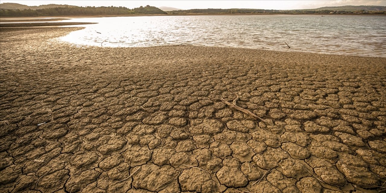 Son 50 yılda dünyadaki sulak alanların yüzde 35'i yok oldu