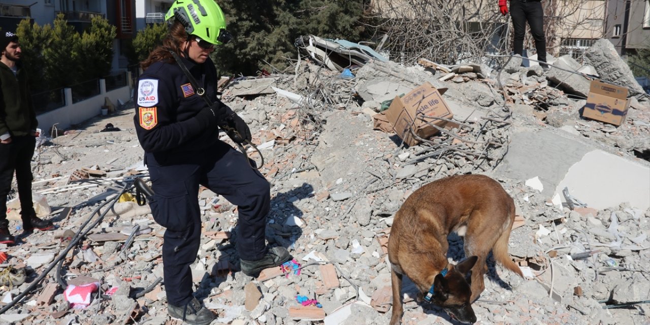 Meksika’dan Türkiye’ye gelen arama-kurtarma köpeği 'Proteo' hayatını kaybetti