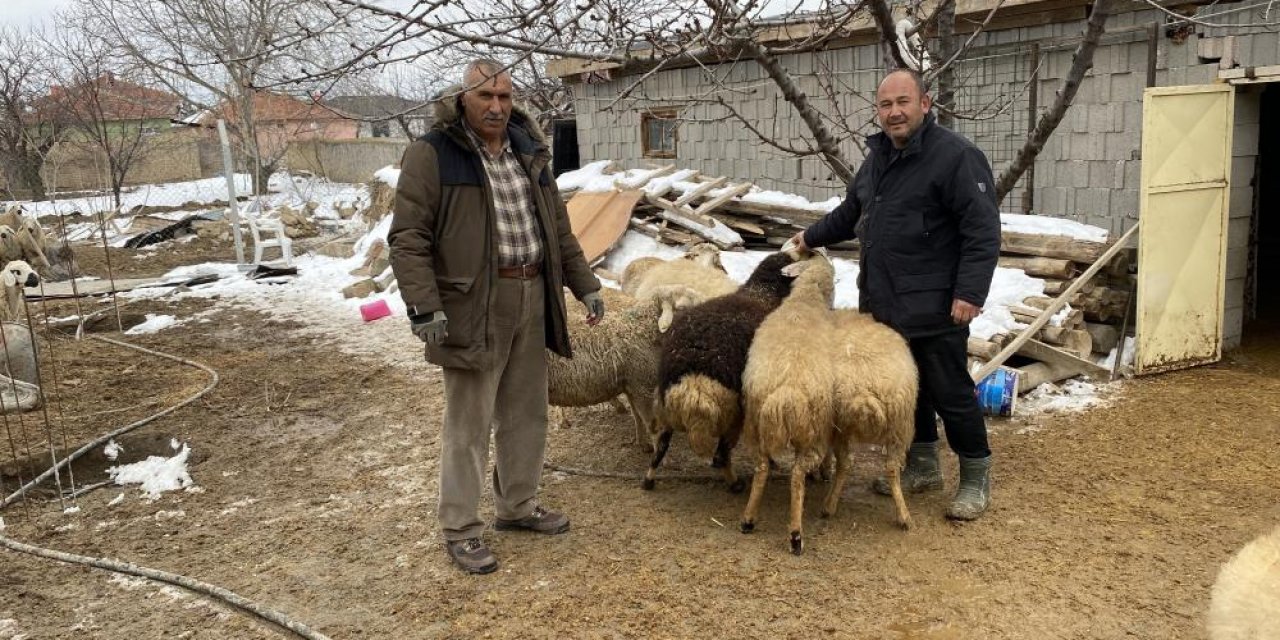 Konya’da bir grup besici, 16 koyunu depremzedeler için bağışladı