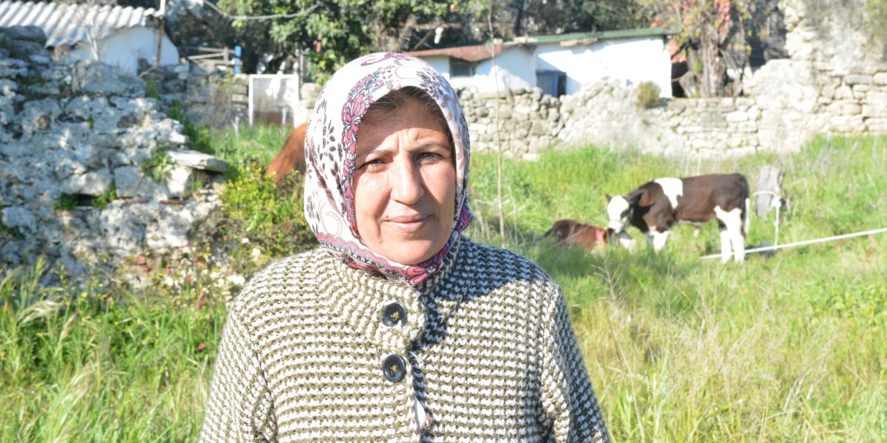 Adıyaman'da bir depremzede yerleştiği otele ineklerini de götürdü