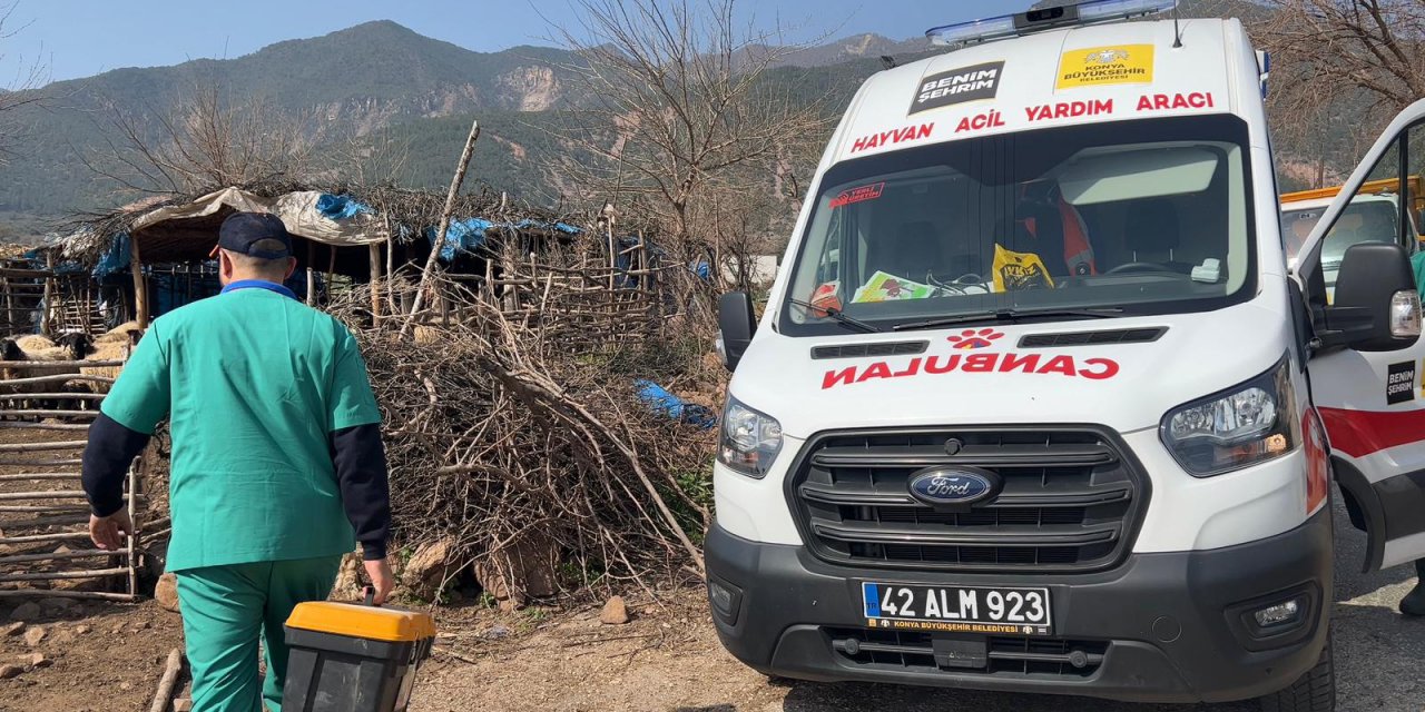 Konya’nın Canbulan’ı deprem bölgesinde hayvanları muayene ediyor