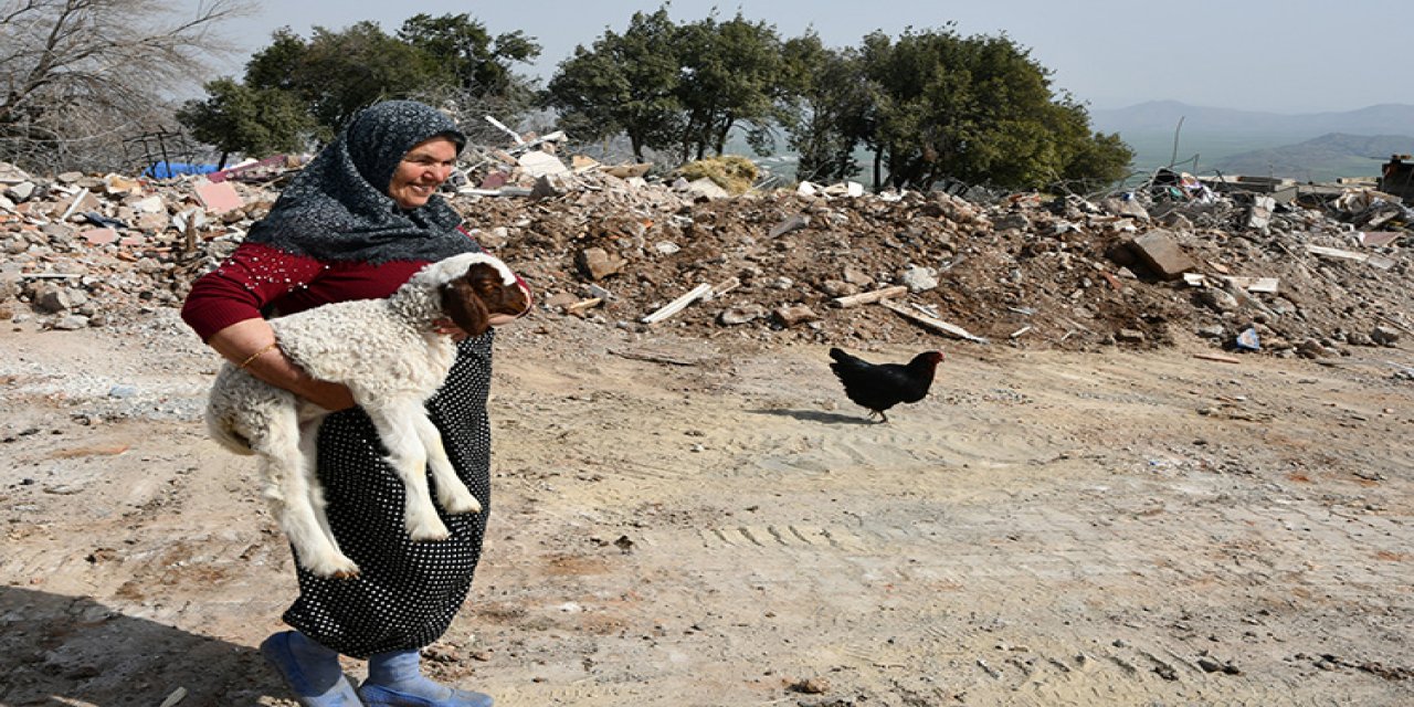 Depremzede Elmas Teyze, enkazda annesi telef olan kuzusu "Nazlı"yla teselli oluyor