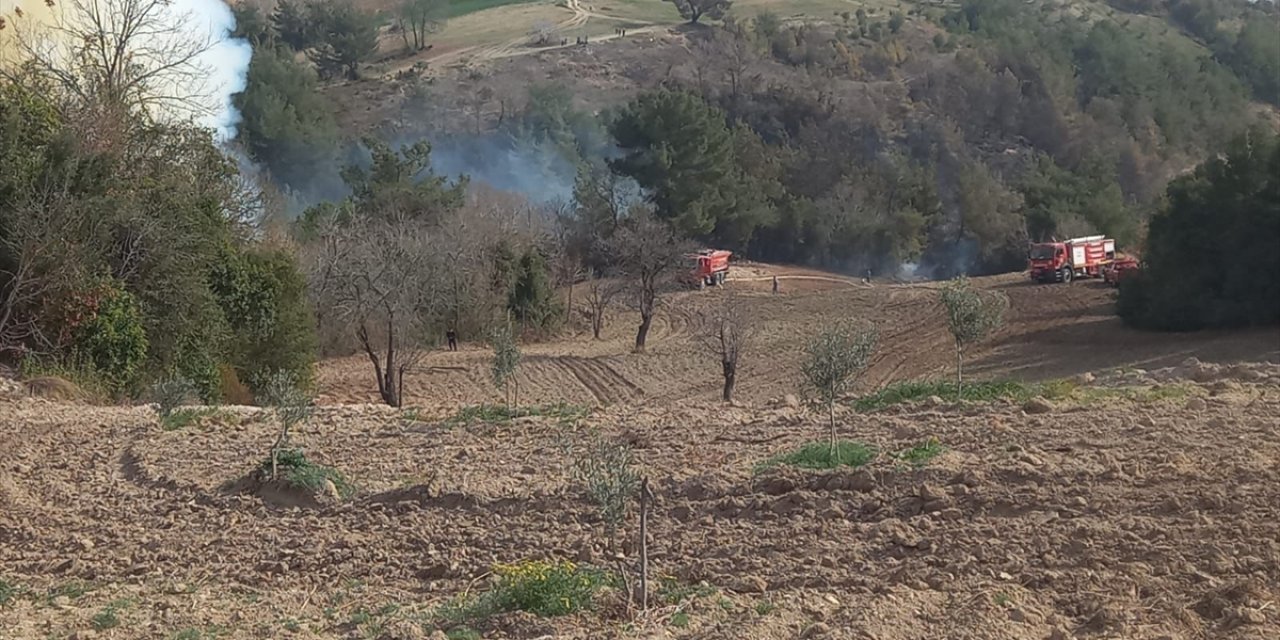 Ormanlık alanda çıkan yangın kontrol altına alındı