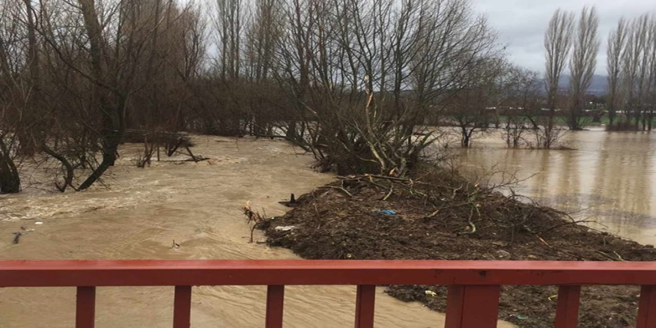 Yoğun yağış ekili alanlara zarar verdi